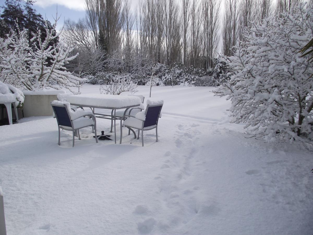 Shamrock Garden B&B Airport Christchurch Eksteriør billede