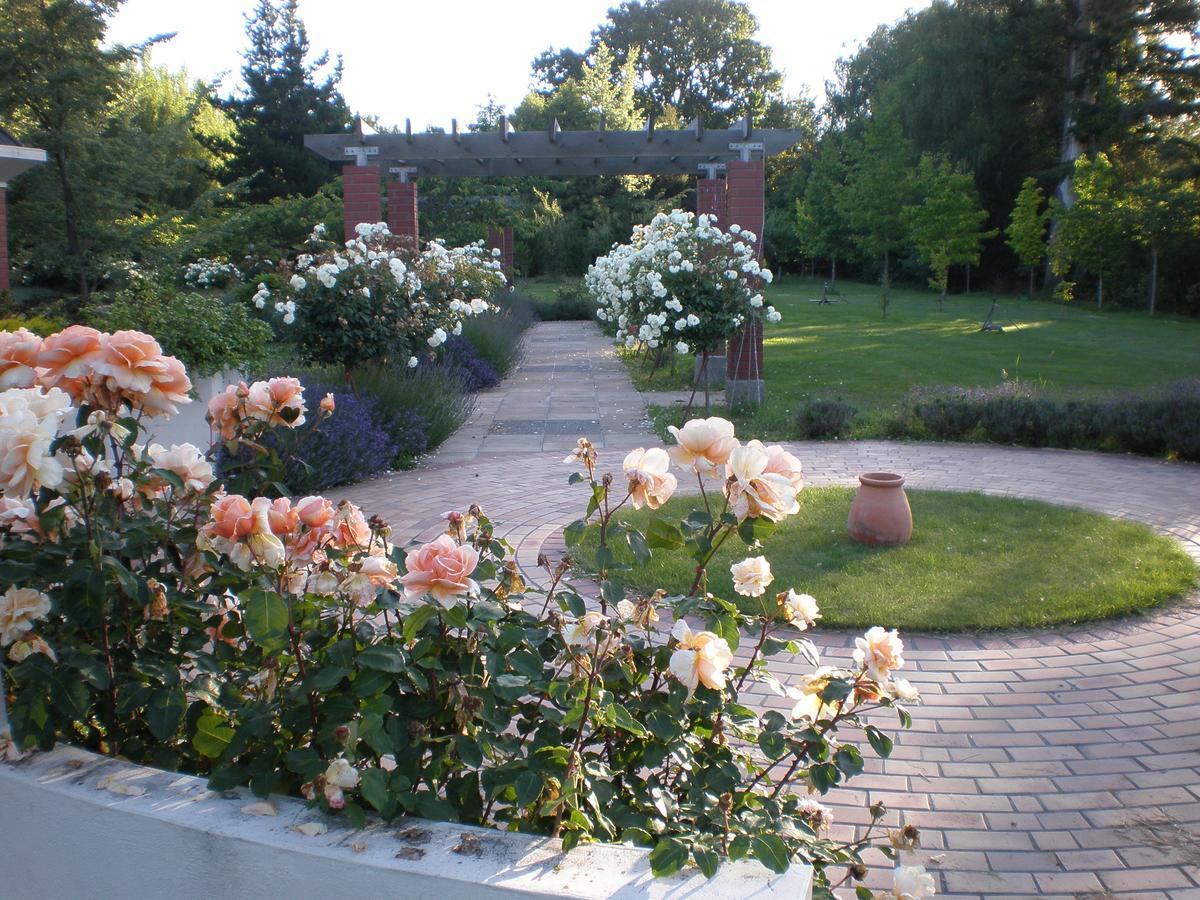 Shamrock Garden B&B Airport Christchurch Eksteriør billede