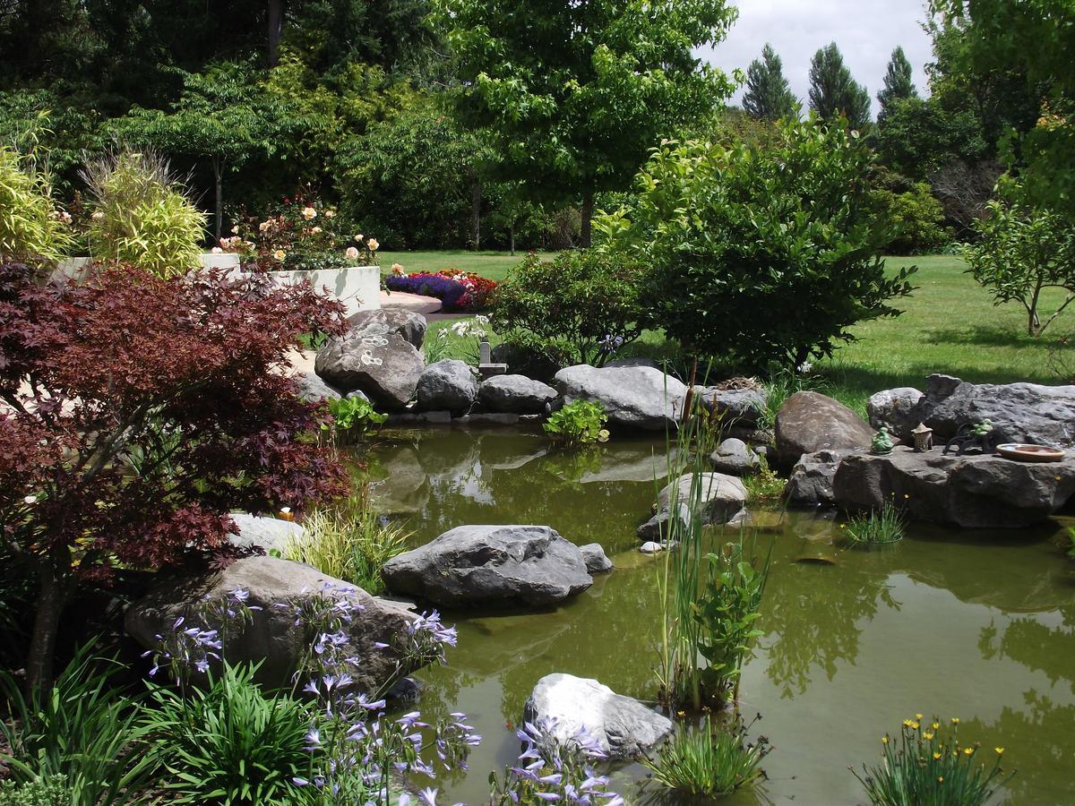 Shamrock Garden B&B Airport Christchurch Eksteriør billede