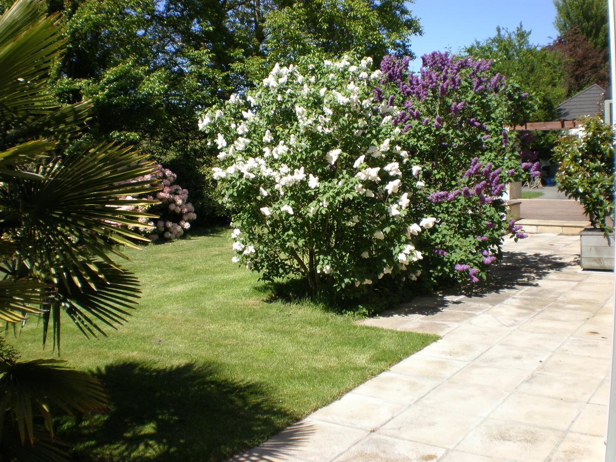 Shamrock Garden B&B Airport Christchurch Eksteriør billede