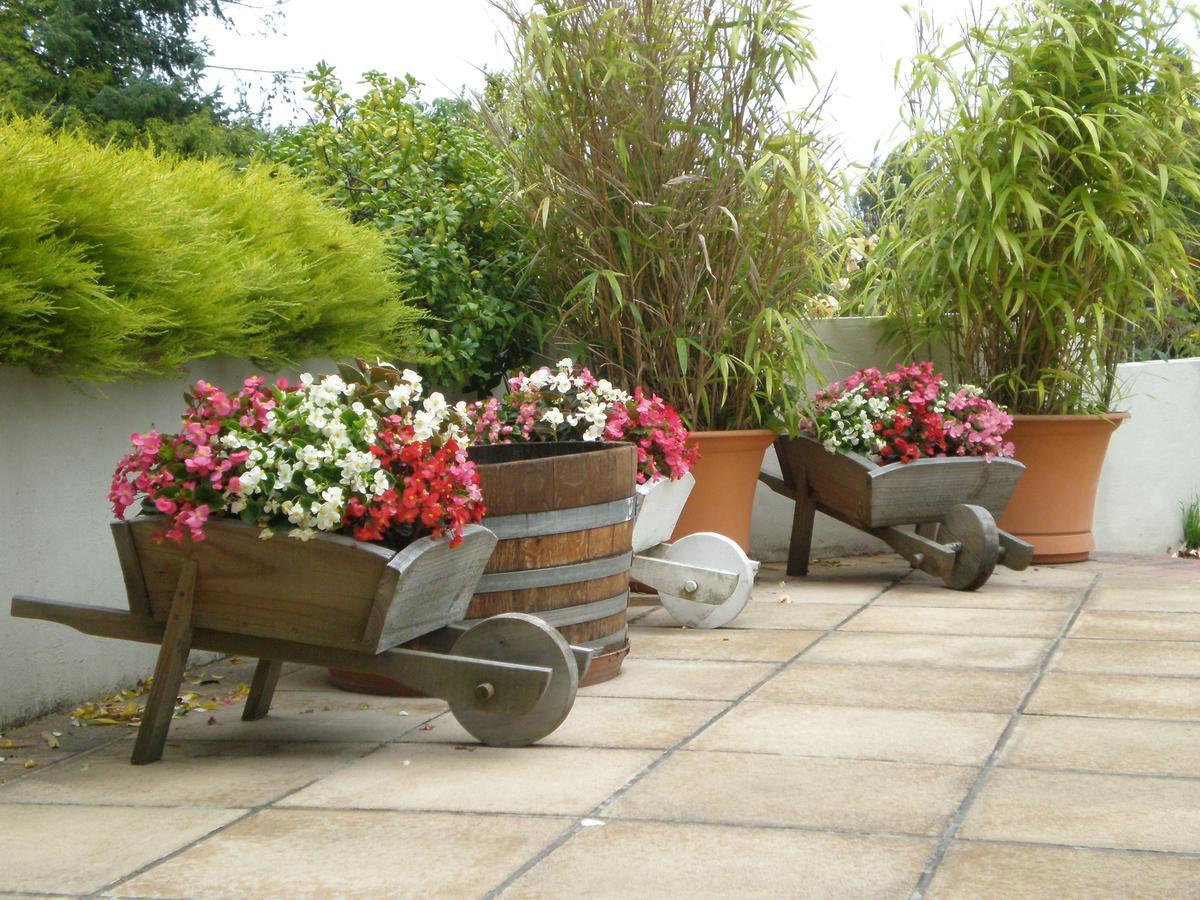 Shamrock Garden B&B Airport Christchurch Eksteriør billede