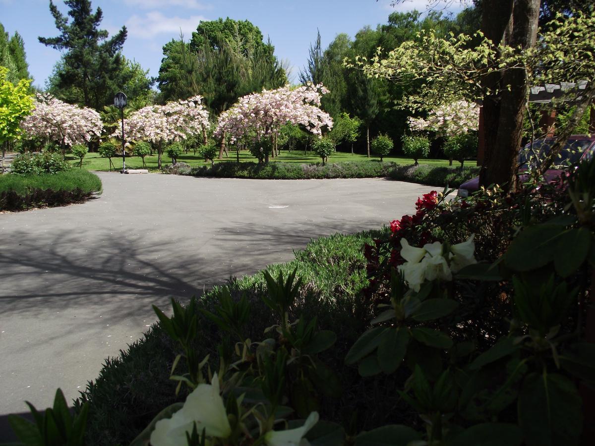 Shamrock Garden B&B Airport Christchurch Eksteriør billede