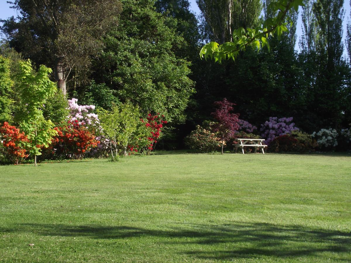 Shamrock Garden B&B Airport Christchurch Eksteriør billede
