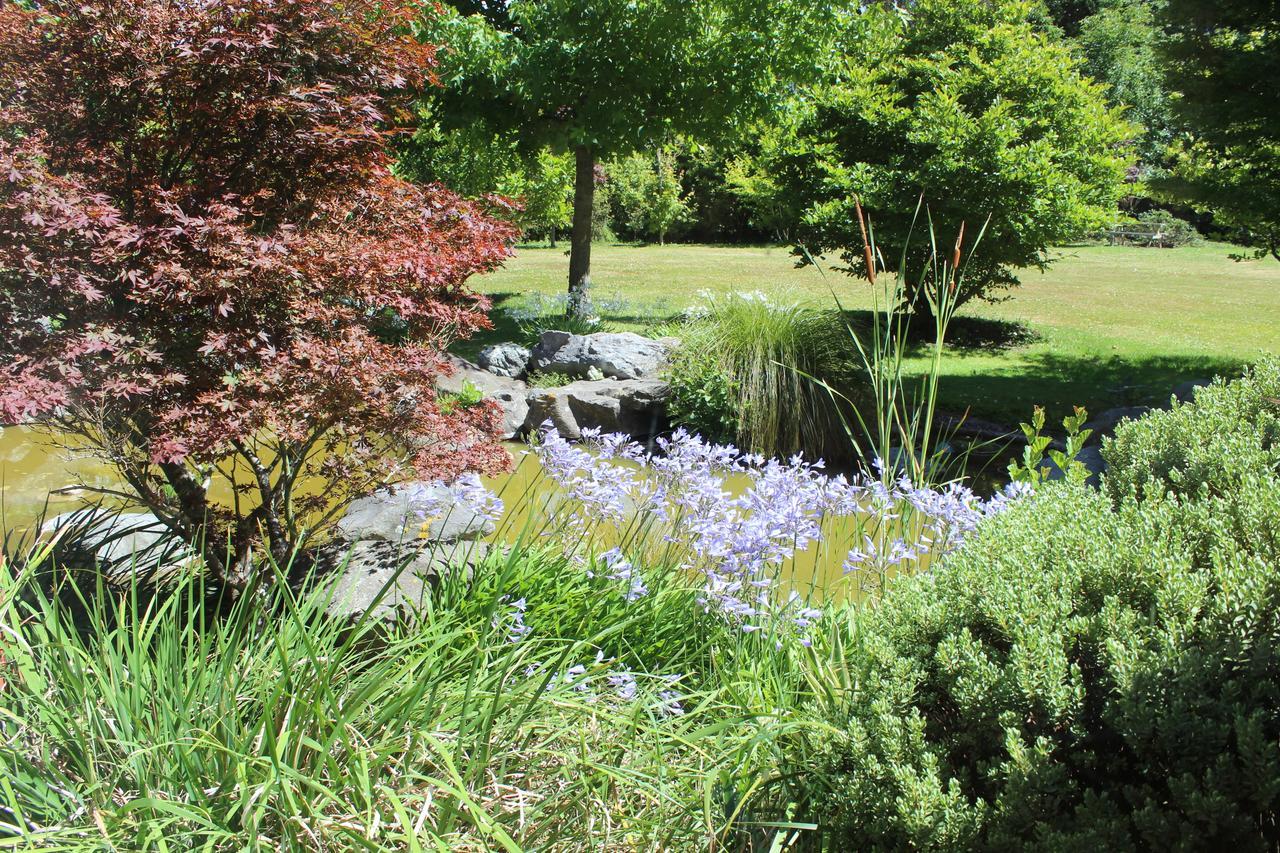 Shamrock Garden B&B Airport Christchurch Eksteriør billede