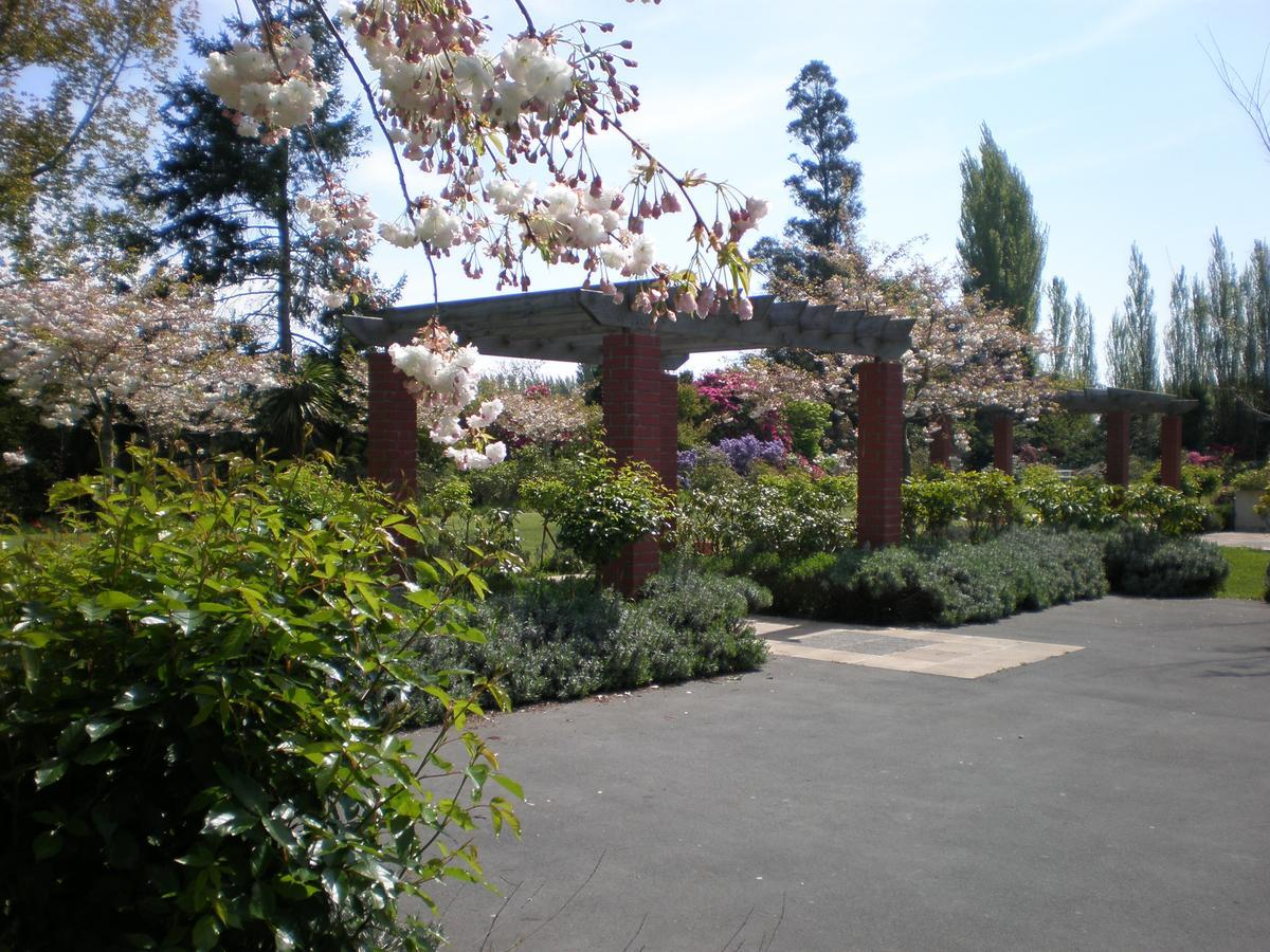 Shamrock Garden B&B Airport Christchurch Eksteriør billede