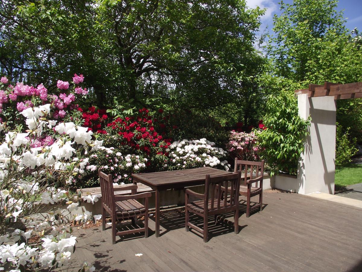 Shamrock Garden B&B Airport Christchurch Eksteriør billede