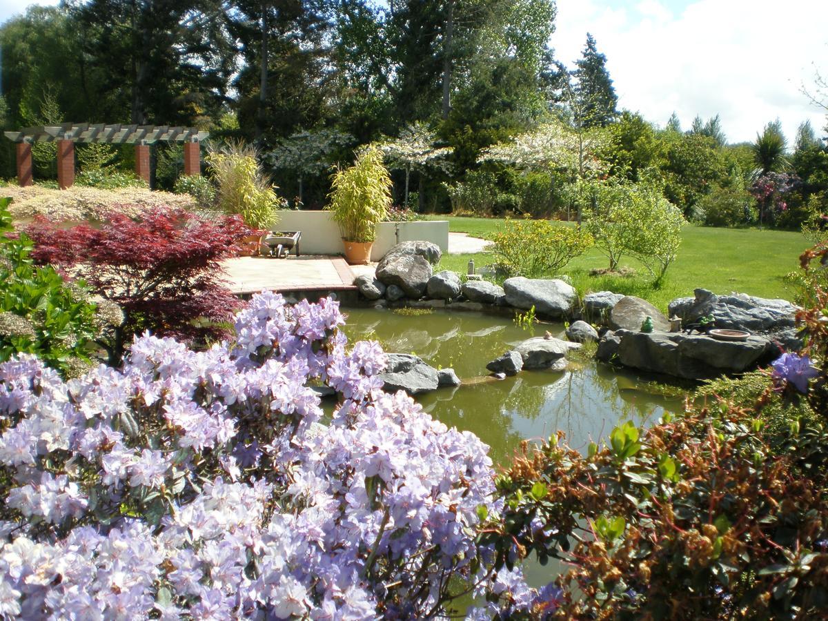Shamrock Garden B&B Airport Christchurch Eksteriør billede