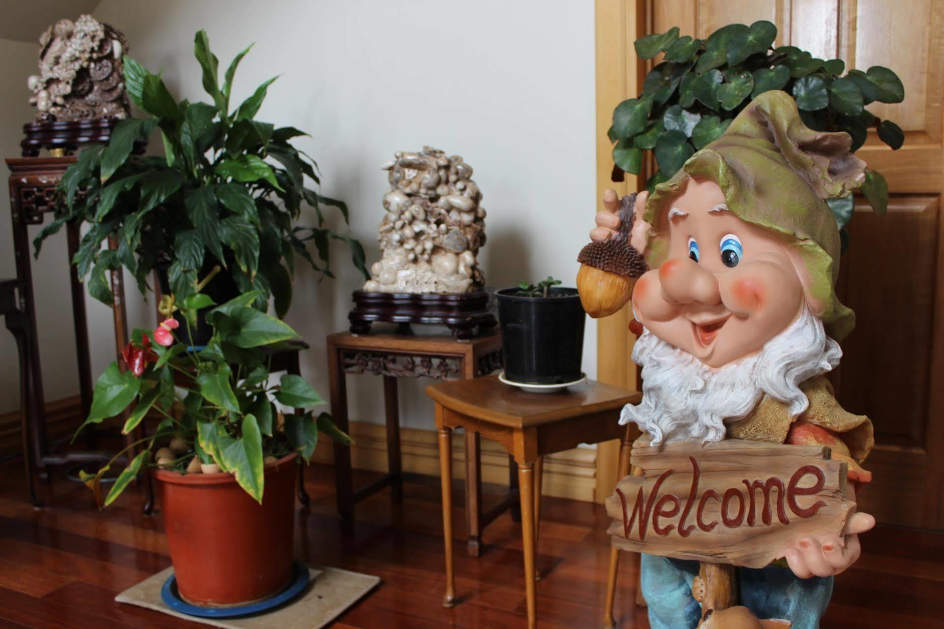 Shamrock Garden B&B Airport Christchurch Eksteriør billede